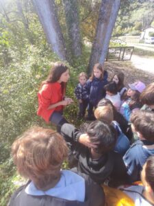 educacion en la naturaleza